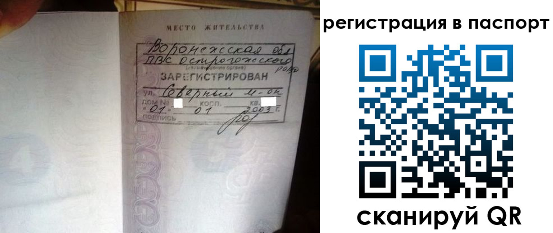 прописка для школы в Красногорске